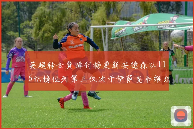 英超转会费排行榜更新安德森以116亿镑位列第三仅次于伊萨克和维尔茨